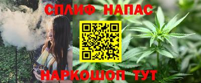 амф Славгород