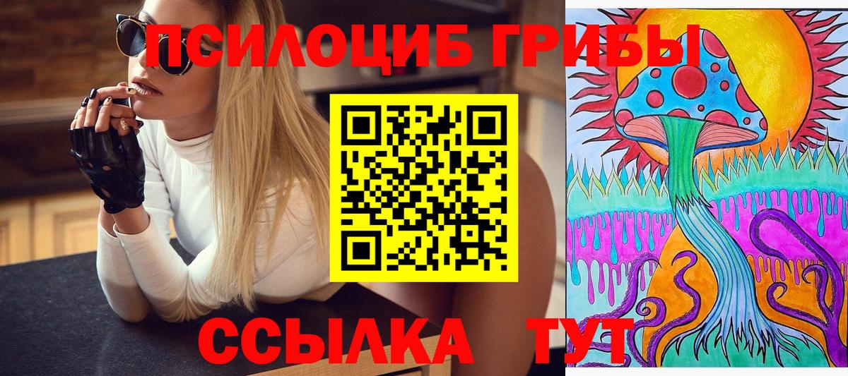 Галлюциногенные грибы MAGIC MUSHROOMS  цена наркотик  Кунгур  Вход с VPN 